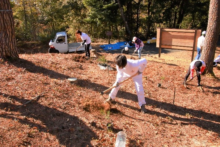 植樹の様子