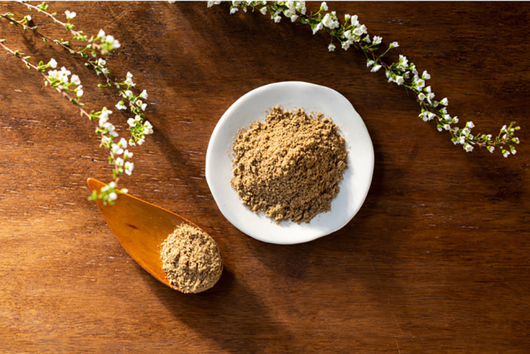 食用蚕パウダー 食用蚕パウダー