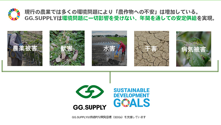 都会のHATAKEは現代農業の問題を解決する 都会のHATAKEは現代農業の問題を解決する