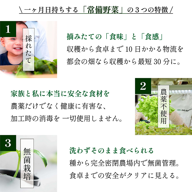 一ヶ月日持ちする常備野菜の3つの特徴 一ヶ月日持ちする常備野菜の3つの特徴