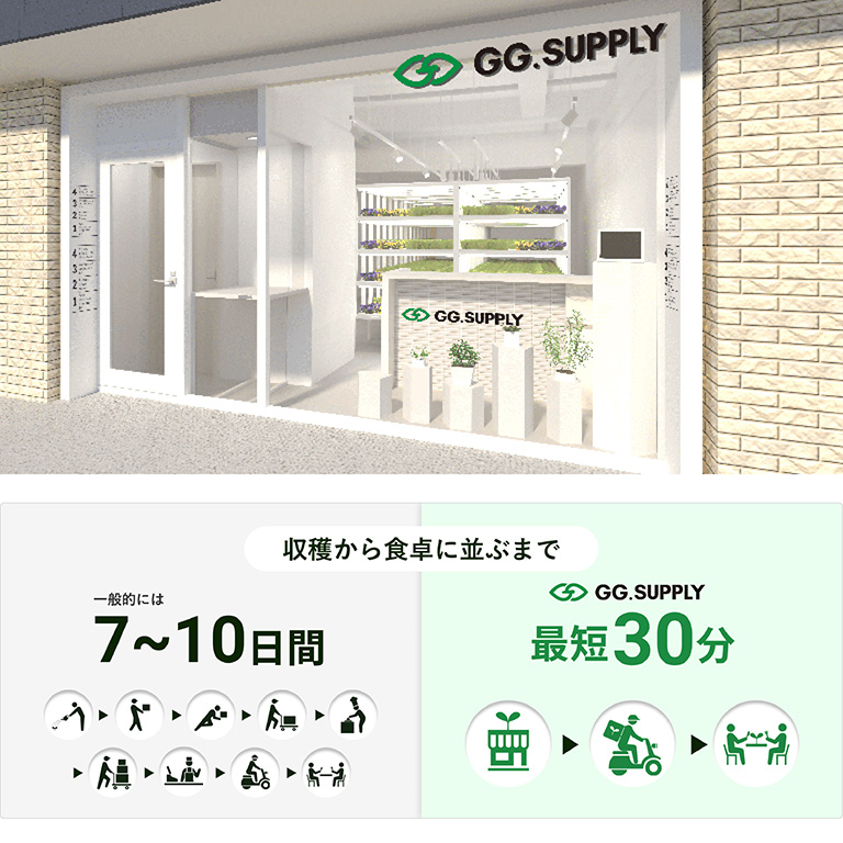 野菜物流を30分に短縮する都会のHATAKE 野菜物流を30分に短縮する都会のHATAKE