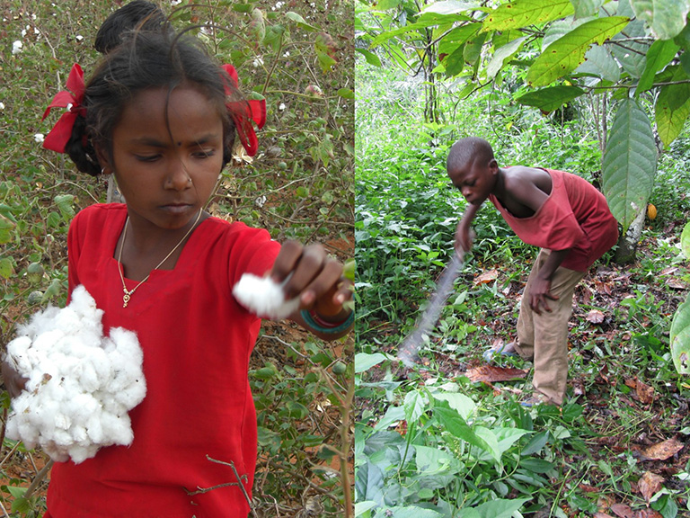 写真左:コットン生産地で働く子ども、写真右:カカオ生産地で働く子ども 写真左:コットン生産地で働く子ども、写真右:カカオ生産地で働く子ども