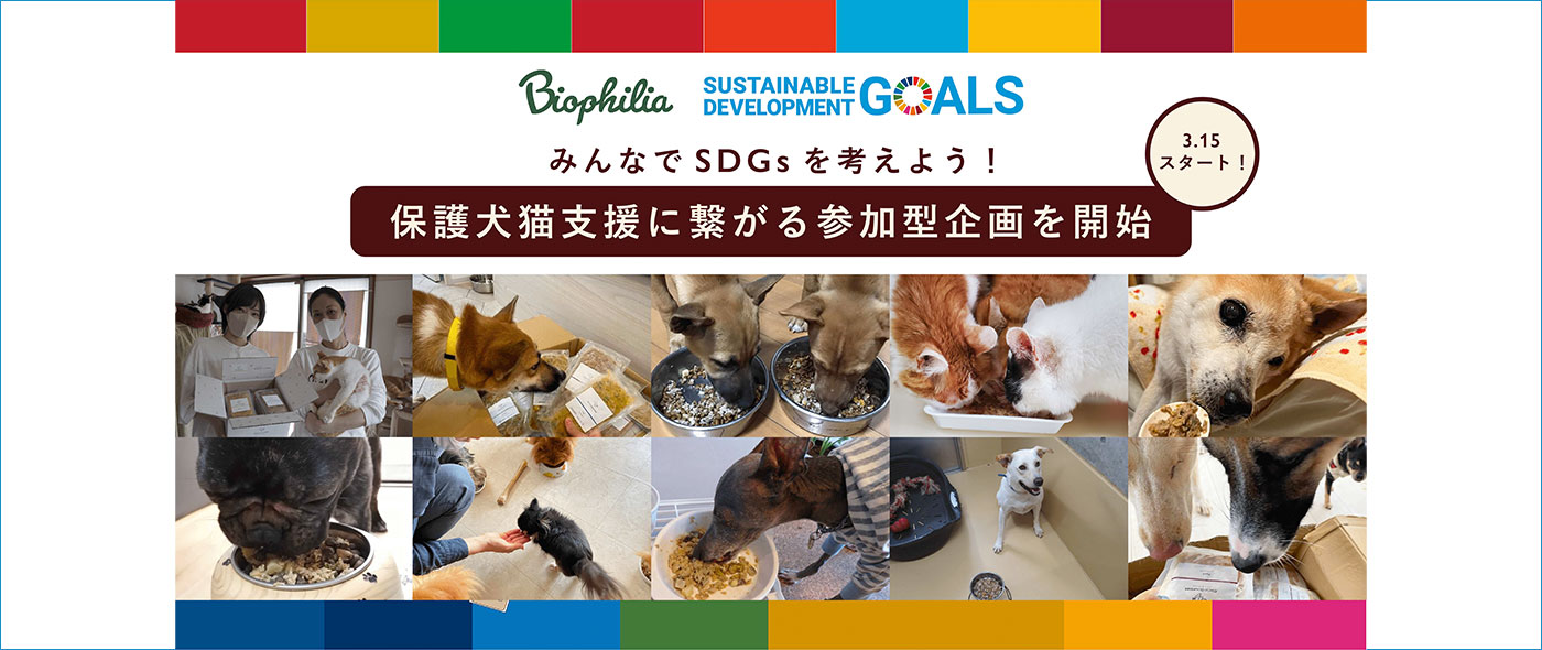 犬猫の支援に繋がる参加型寄付企画 犬猫の支援に繋がる参加型寄付企画