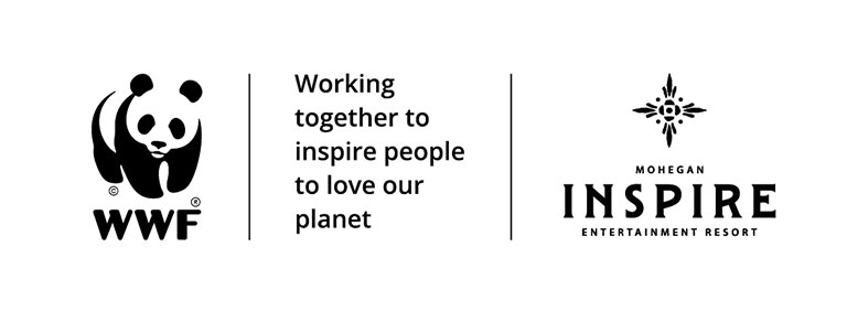 WWF-Koreaと環境保全キャンペーンコラボレーションロゴ WWF-Koreaと環境保全キャンペーンコラボレーションロゴ