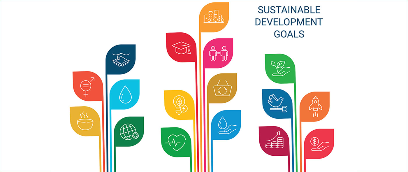 SDGsに関する調査(2024年) SDGsに関する調査(2024年)