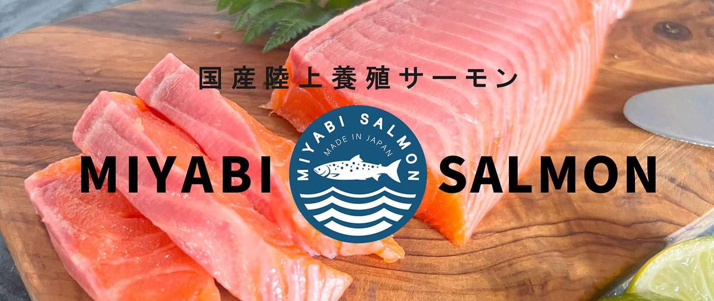 MIYABIサーモン MIYABIサーモン