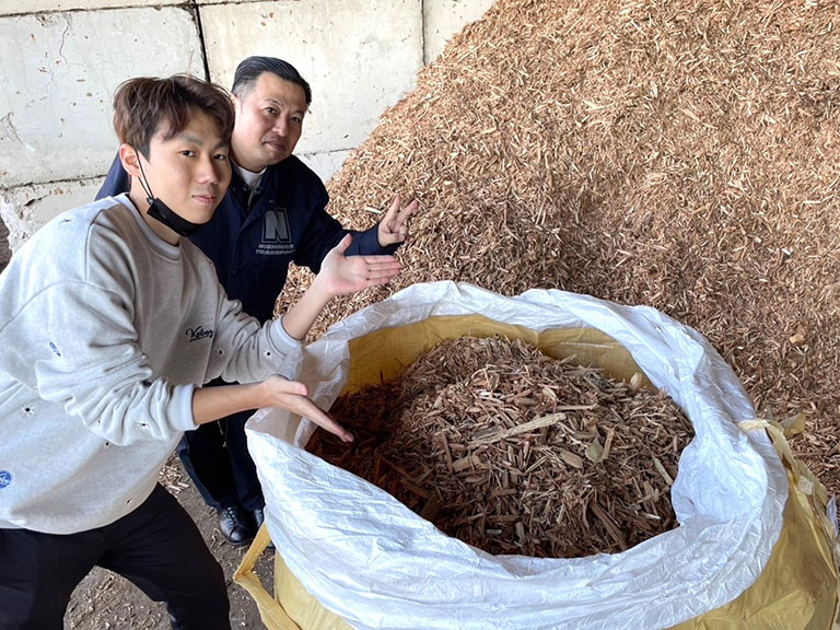 チップ状にした廃棄パレット チップ状にした廃棄パレット