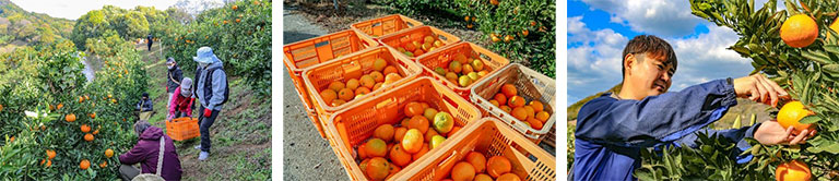 株式会社MOTTAINAI COCOLOFARM 株式会社MOTTAINAI COCOLOFARM