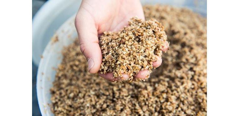 ビール製造過程から生じる麦芽粕 ビール製造過程から生じる麦芽粕