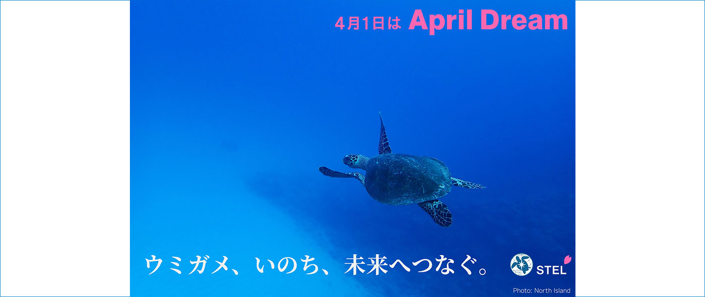 April Dream April Dream