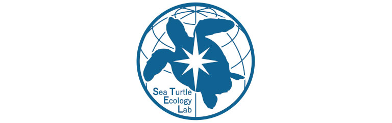 Sea Turtle Ecology Lab Sea Turtle Ecology Lab