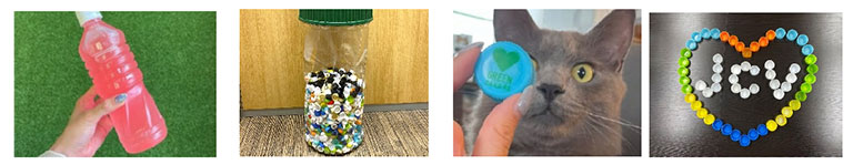 キャップアクション キャップアクション