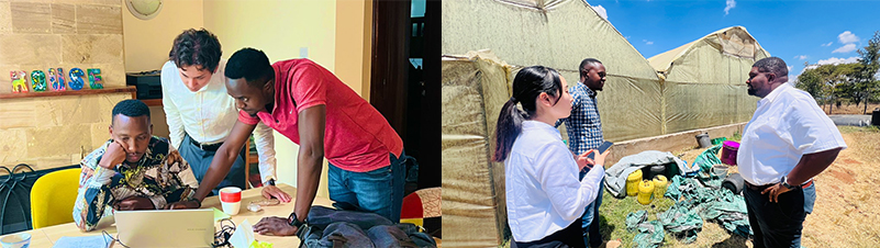 コンサルティング事業 コンサルティング事業